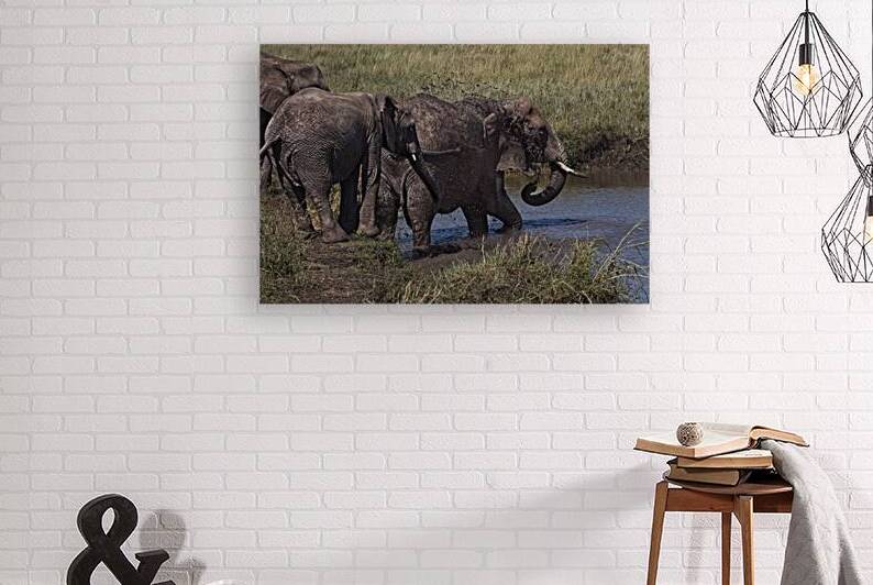 Mud Bath Ritual by Chirag Pandya