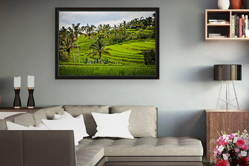 rice rice terrace terraces by Shamudy