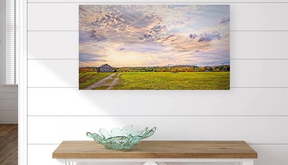 Golden Hour Over the Meadow by Chirag Pandya