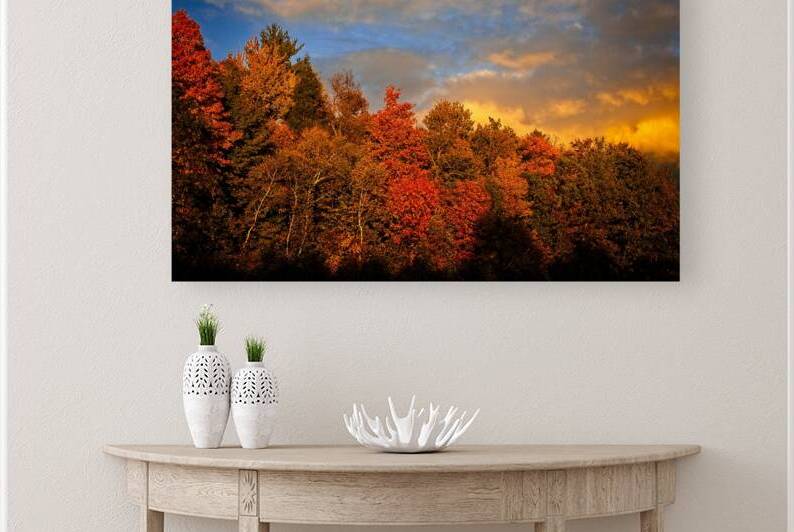 Golden Hour in the Treetops by Chirag Pandya