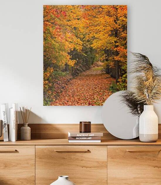 Pathway to Autumn by Chirag Pandya