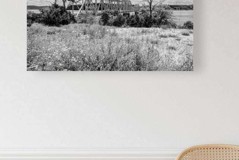 Kimberling City Bridge And Flowers Grayscale by Jennifer White