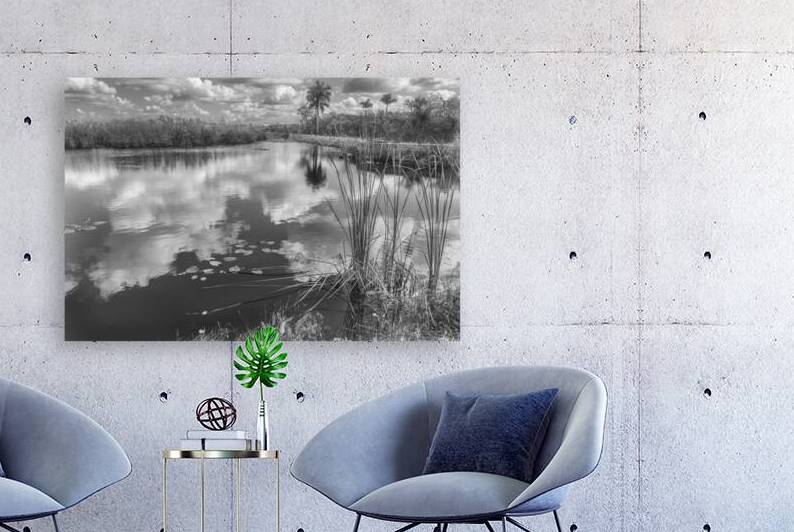Anhinga Trail through an Everglades  marsh. Florida. Black and White Landscape by Santiago Mazzola