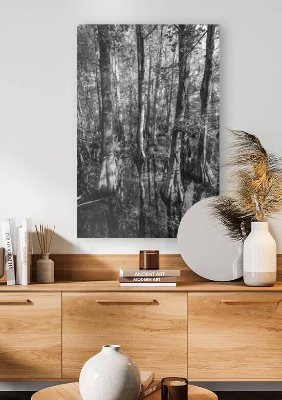 Cypress tree at Kirby Storter Roadside Park Florida. Black and White Landscape by Santiago Mazzola