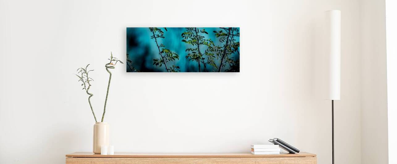 Midnight by Lucas Bryan