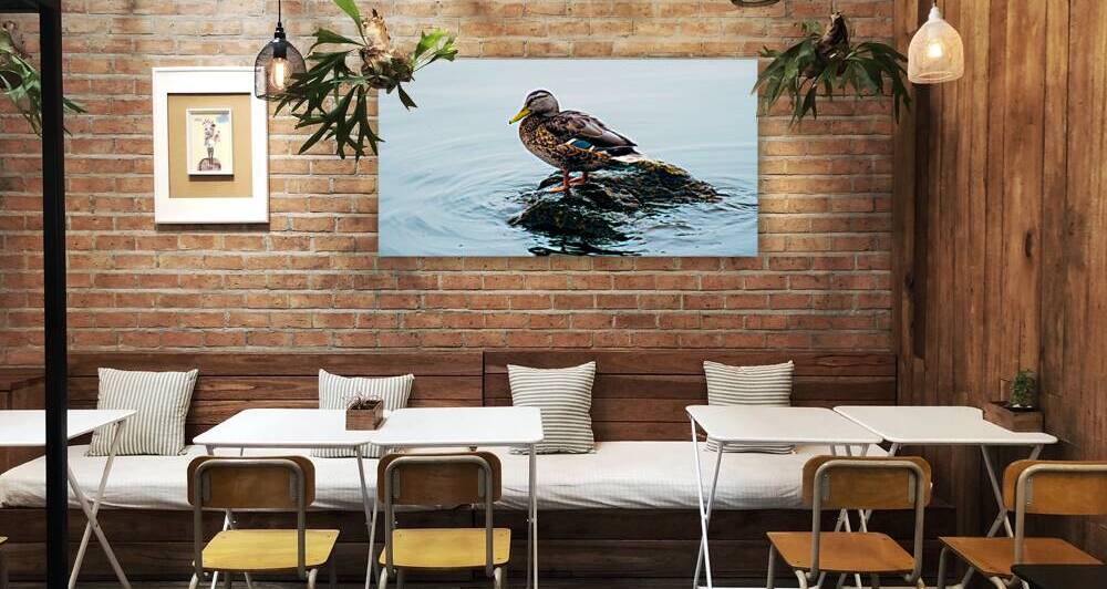 Private Island by Lucas Bryan