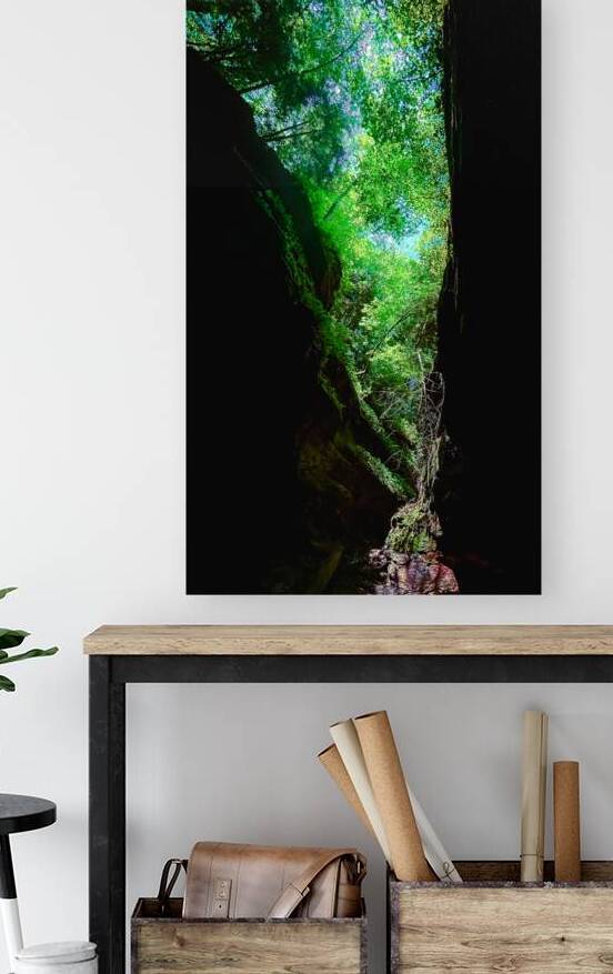 Heart of Nature  by Lucas Bryan