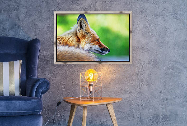 Red Fox Profile I by Deb Oppermann