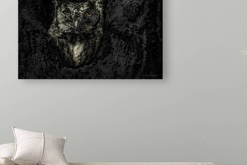 10616 Eastern Screech Owl. Megascops asio  by John Gilsenan 