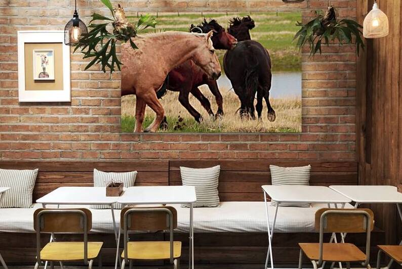 The Chase by Susan Diann Photography