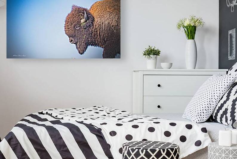 Shoot For The Moon by Susan Diann Photography