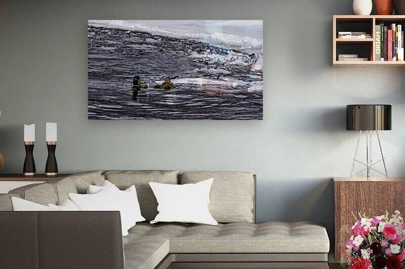 10992 Ducks on the Rocks  by John Gilsenan 