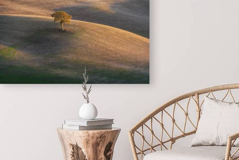 Lonely tree in Orcia Valley and the last lights of the sunset by Stefano Orazzini