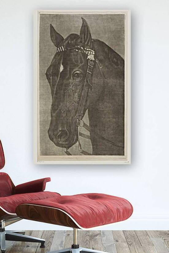Head of a Horse with a Bridle James Newman Hodges by ASAR STUDIOS