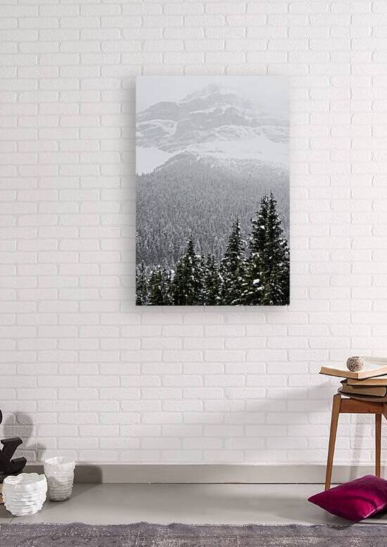 Blizzard | Jasper Alberta by Wildhood