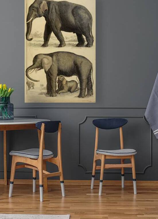 NANCY CALVERT PHOTOGRAPHY: AFRICA 1 by Nancy Calvert