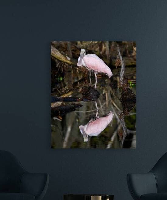 Reflection in Pink by Andy Crawford