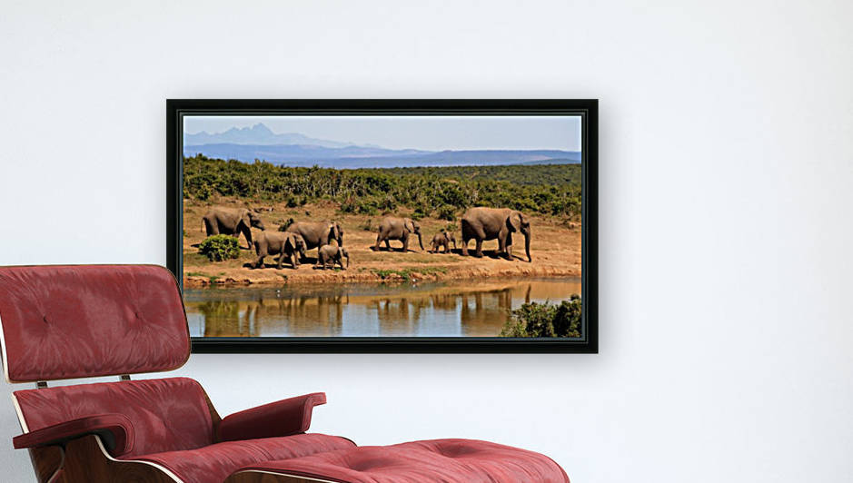 elephant herd of elephants by Shamudy