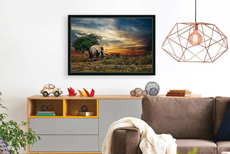 elephant mammal safari animal one by Shamudy