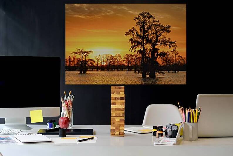 Louisiana Gold by Andy Crawford