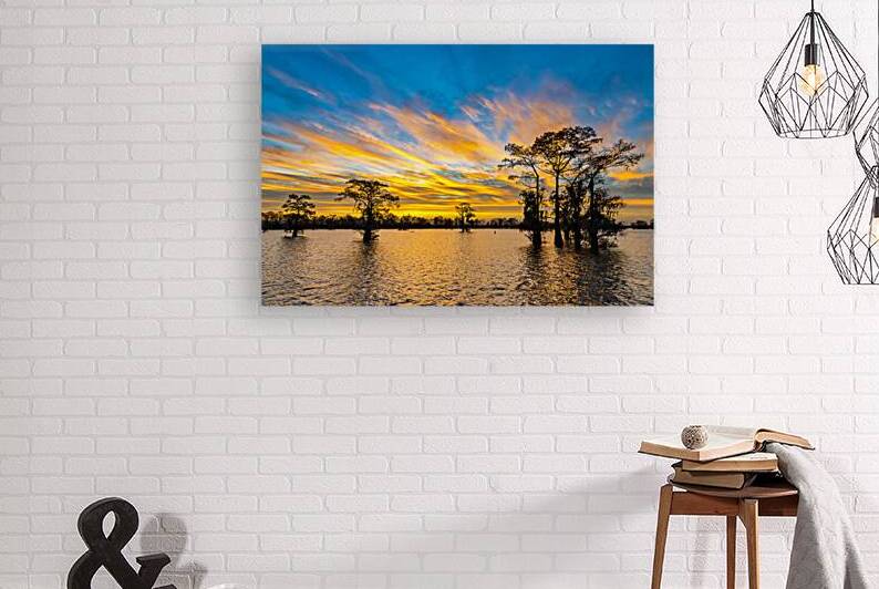 New Year Rising by Andy Crawford