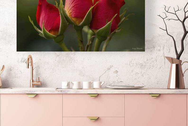 Natural background of buds of red roses flowers 4 by Iremia Tudor