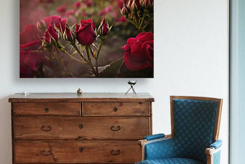 Natural background of buds of red roses flowers 3 by Iremia Tudor