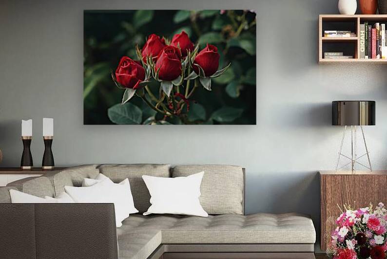 Natural background of buds of red roses flowers 2 by Iremia Tudor