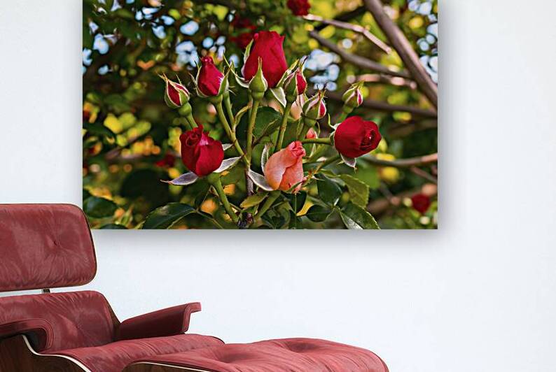 Natural background of buds of red roses flowers.j by Iremia Tudor