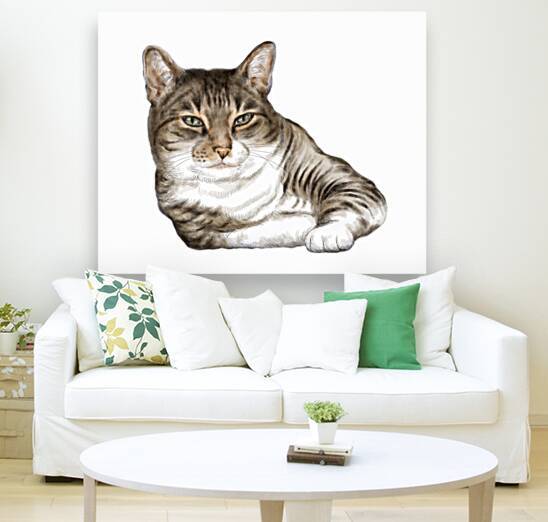 Cute adorable cat portrait on white background by Kevin Miller Photography