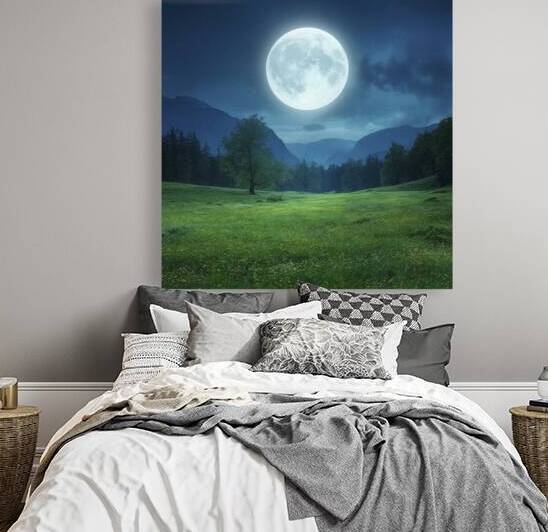 Wonderful night landscape. Moonlight over beautif 1722622863.6231 by Valentin Catargiu