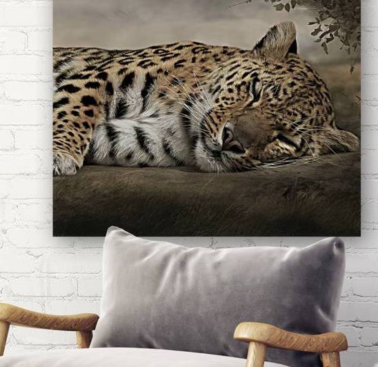 persian leopard sleeping 8 by Valentin Catargiu