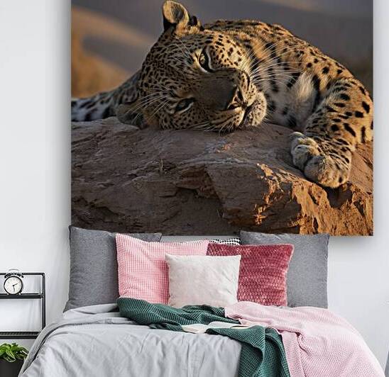 persian leopard sleeping 7 by Valentin Catargiu