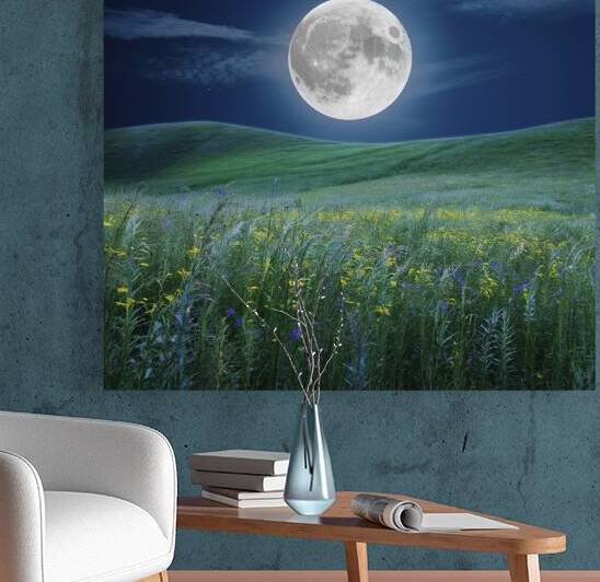 Wonderful night landscape. Moonlight over beautif 1722622863.8503 by Valentin Catargiu