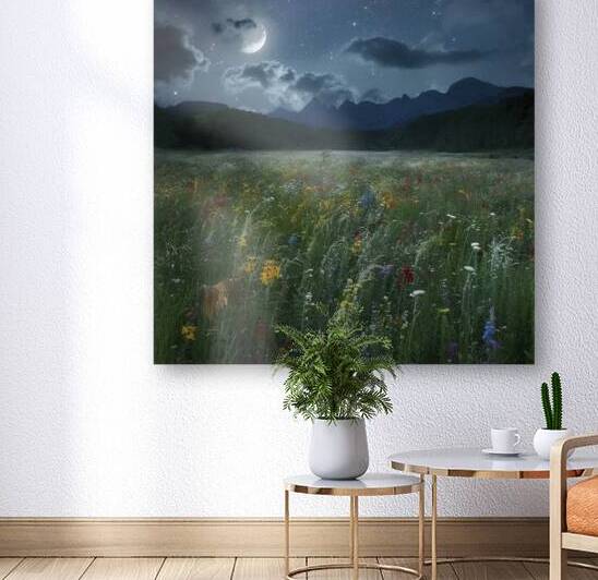 Wonderful night landscape. Moonlight over beautif 1722658580.5489 by Valentin Catargiu