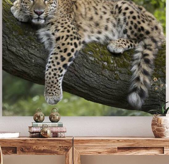 persian leopard sleeping 3 by Valentin Catargiu