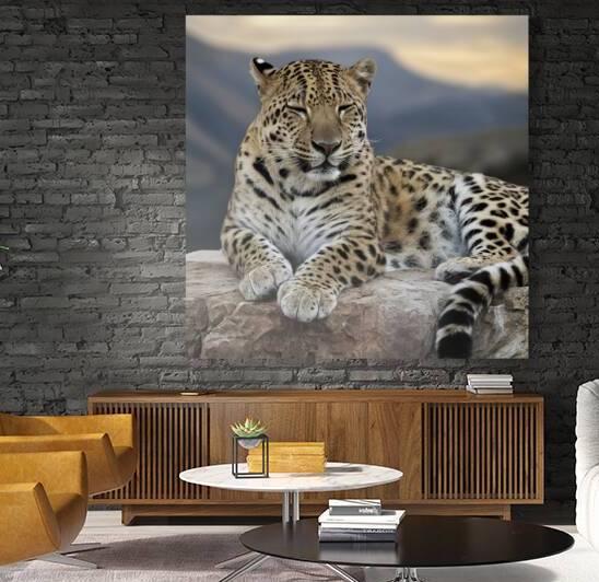 persian leopard sleeping 4 by Valentin Catargiu