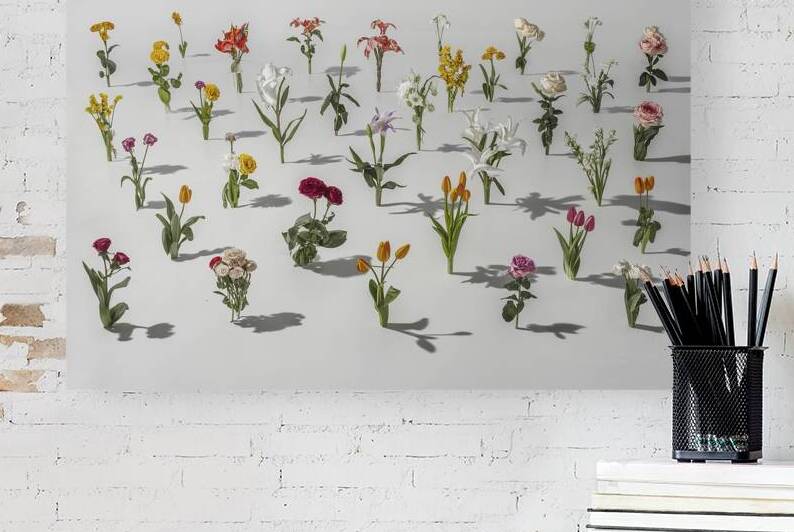 Various flowers on white 4 by Anghel Viorel