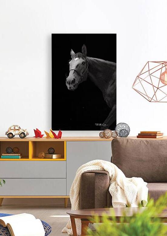 BZ9 3201 Enhanced NR 2 by Susan Lynn Cooke