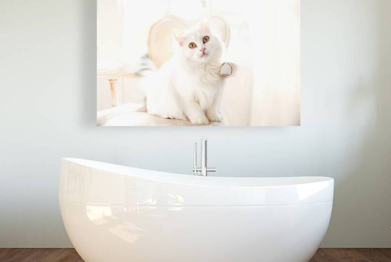 A white cat with striking yellow eyes 2 by Mirela Poiana