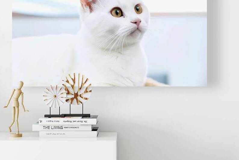 A white cat with striking yellow eyes 1 by Mirela Poiana