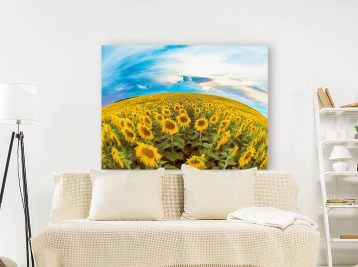 A vibrant field of sunflowers under a partly clou 1722835675.567 by Mirela Poiana