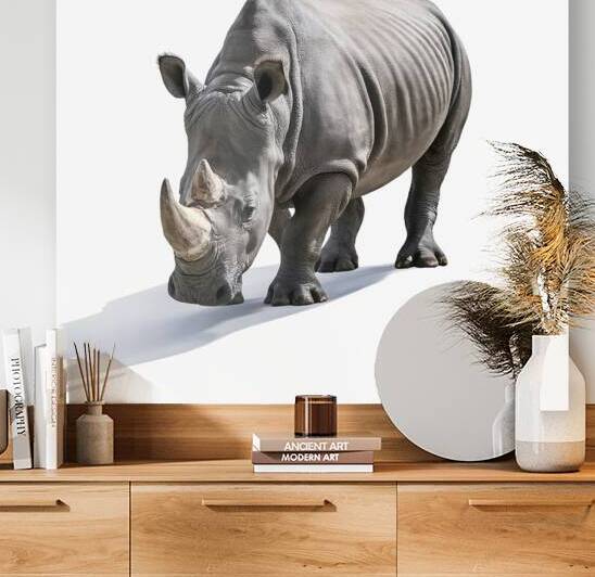 Single Large Rhinoceros Isolated on White Backgro by Mirela Poiana