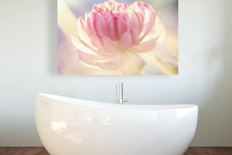 A delicate and vibrant pink flower with multiple  1722838021.5247 by Veres Ioana