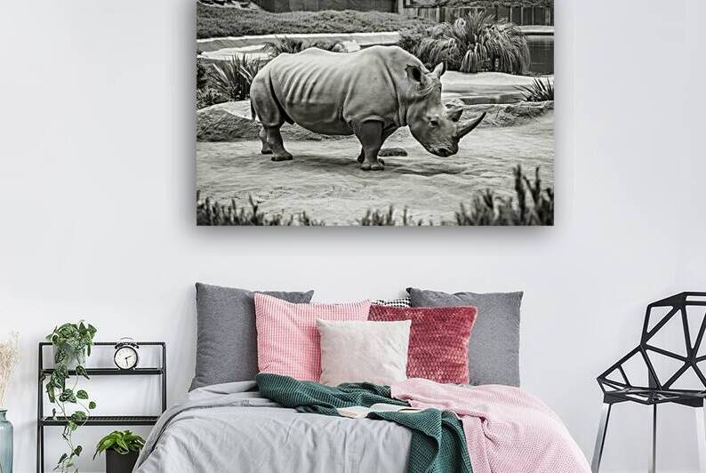 A rhinoceros in what appears to be a zoo or wildl by Veres Ioana