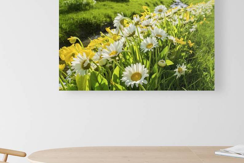 Beautiful meadow in springtime full of flowering  1722839041.7915 by Veres Ioana