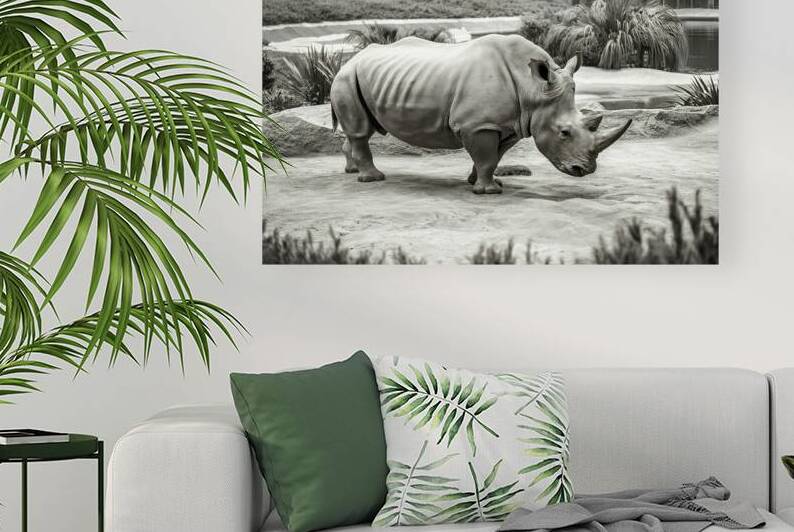 A rhinoceros in what appears to be a zoo or wildl by Veres Ioana