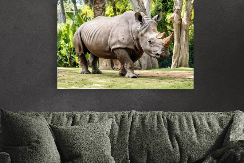 A rhinoceros in what appears to be a zoo or wildl 1722839494.4431 by Veres Ioana