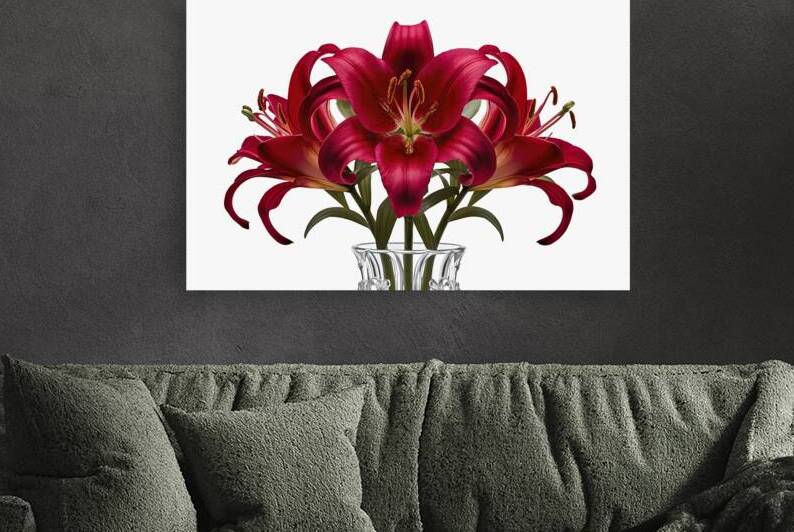 An exquisite close up photograph of a vibrant red by Mariana Tirca