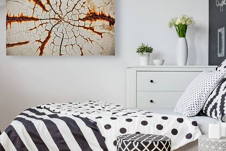 A captivating close up photograph of a weathered by Mariana Tirca